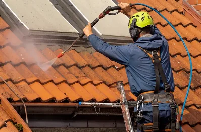 Démoussage et hydrofuge de toiture à Salmaise